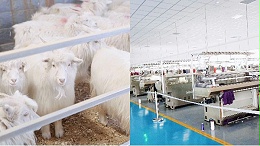 为什么建议品牌方寻找做全产业链的羊绒制品工厂