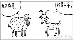 羊绒制品OEM/ODM厂家昭乌达羊绒教您如何分辨羊绒与羊毛